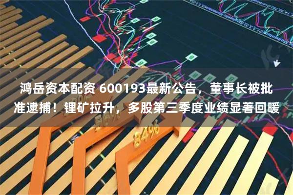 鸿岳资本配资 600193最新公告，董事长被批准逮捕！锂矿拉升，多股第三季度业绩显著回暖