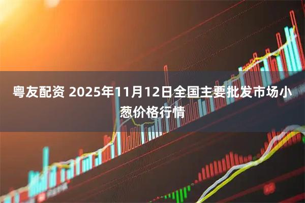 粤友配资 2025年11月12日全国主要批发市场小葱价格行情