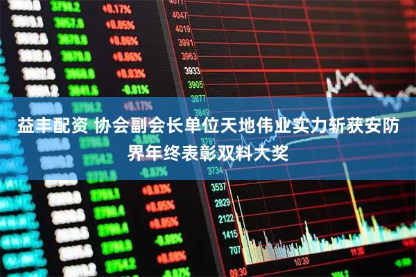 益丰配资 协会副会长单位天地伟业实力斩获安防界年终表彰双料大奖